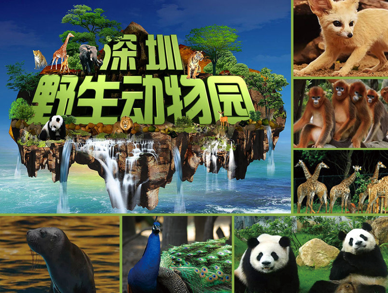 動物園 800x604