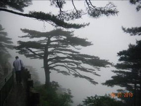四季變化中的黃山靈動俊秀，12月此行將引領大家走進雲雨雪霧中的黃山深處