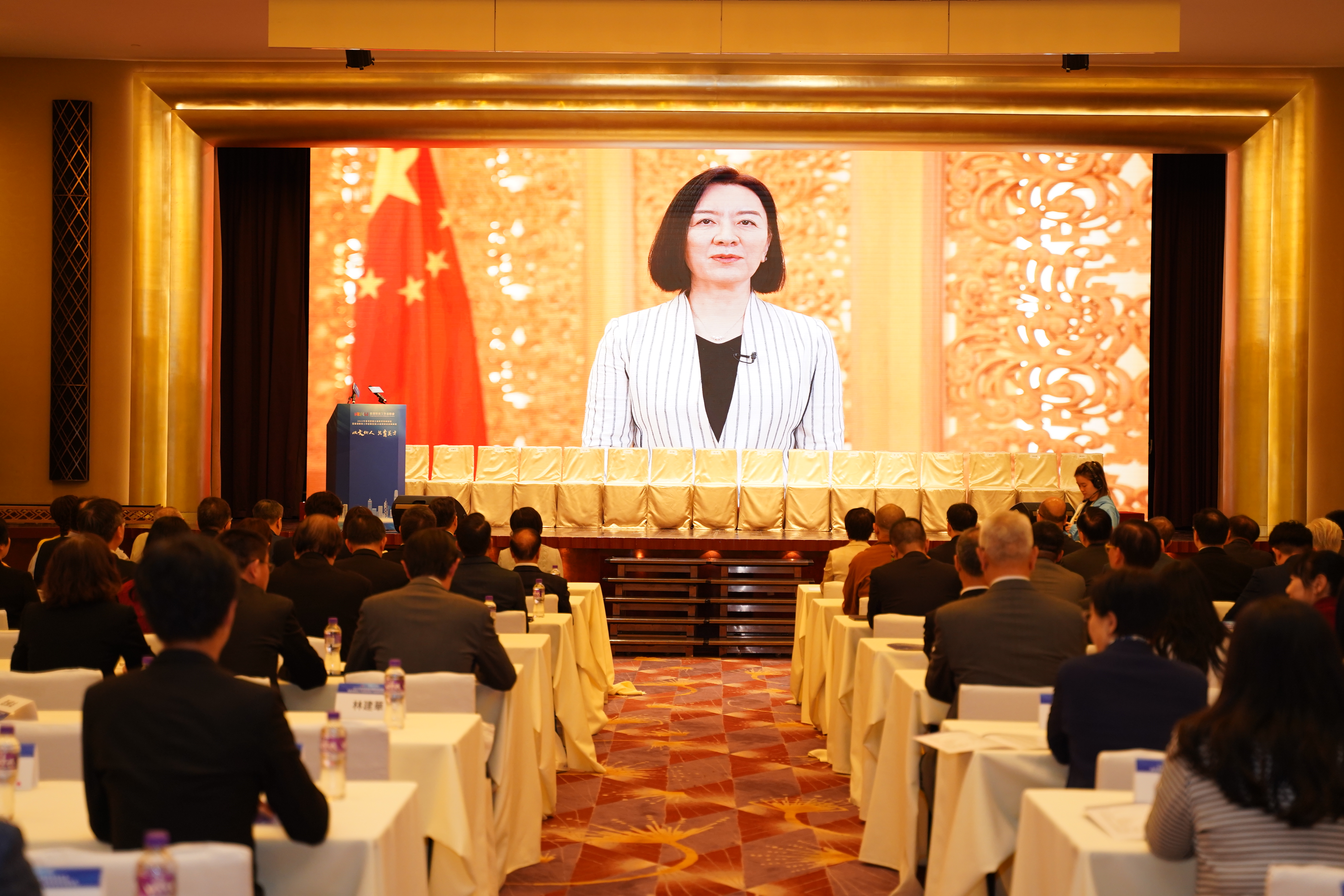 中聯辦 副主任 盧新寧發表視頻講話