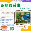 永生苔蘚畫體驗工作坊
