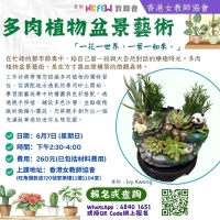 多肉植物盆景藝術
